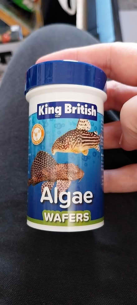 Photo of free Algae Wafers (Heeley S2) #1