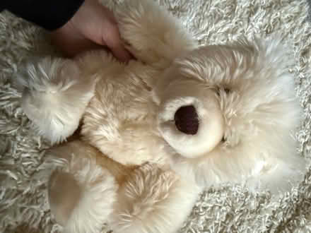 Photo of free Teddy bundle (Carshalton) #2