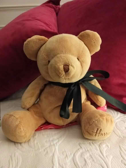 Photo of free Teddy Harrods (Locksmith BR6) #1