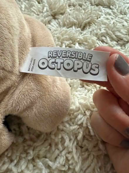 Photo of free Reversible octopus dog teddy (Carshalton) #3