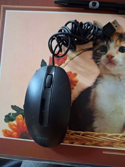 Photo of free Mouse (Chertsey KT16) #1