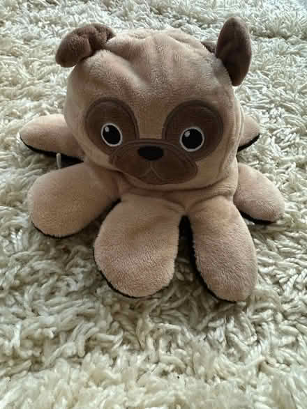 Photo of free Reversible octopus dog teddy (Carshalton) #1