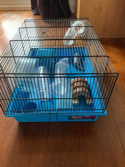 Photo of free Hamster/gerbil cage (Calne SN11) #1