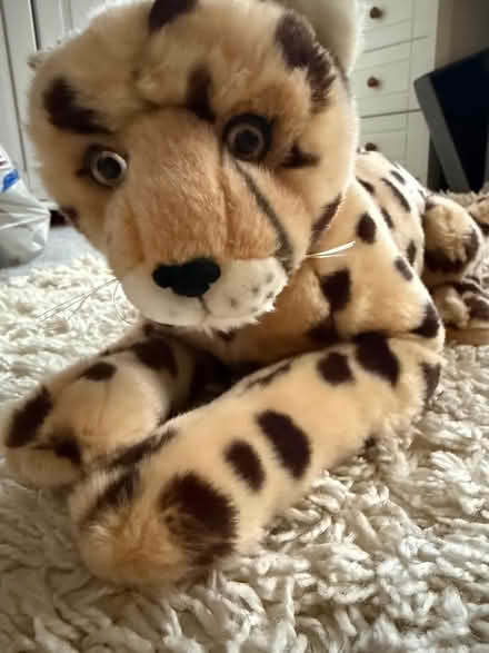 Photo of free Teddy bundle (Carshalton) #4