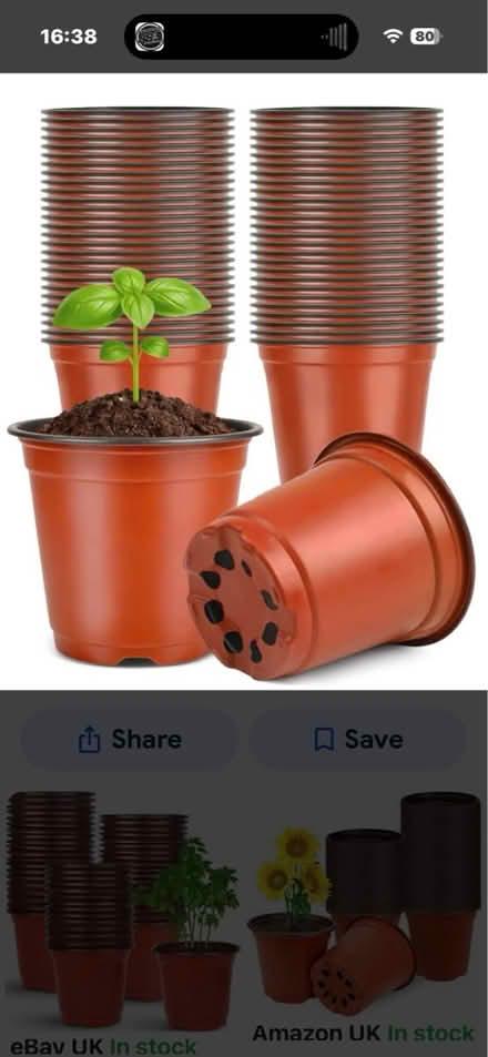 Photo of Plant pots (Pett Level TN35) #1
