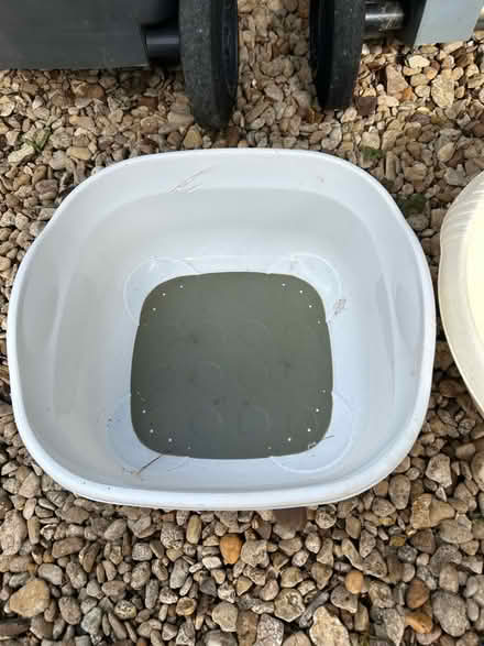 Photo of free Washing up bowls (Northmoor OX29) #2