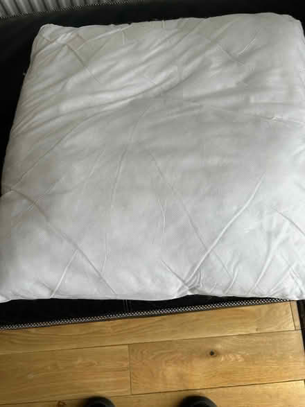 Photo of free Cushion inserts (Balgowan DD3) #1