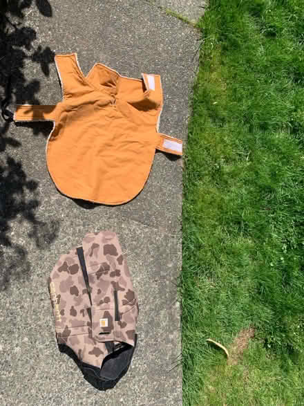 Photo of free Dog vests (Maple Leaf) #1
