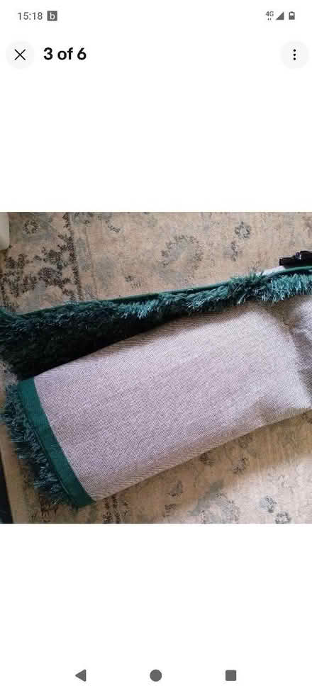 Photo of free Big green rug (Sheldon B26) #2