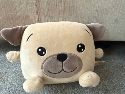 Photo of free Squishimi teddy (Carshalton) #1