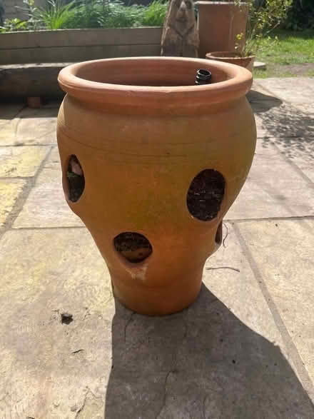 Photo of free Strawberry planter (RH12) #1