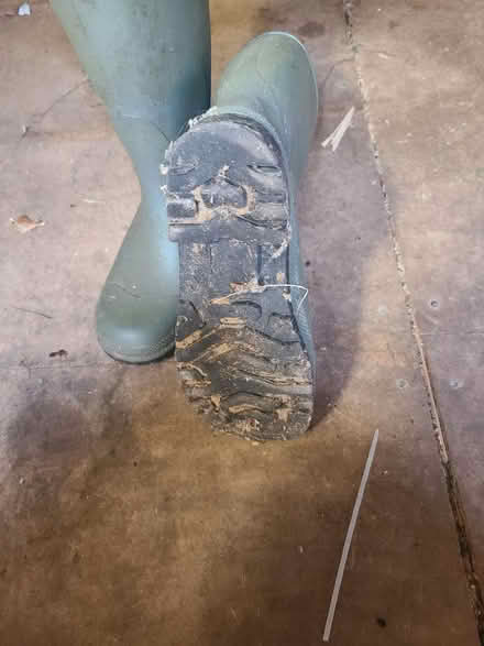 Photo of free Ladies Wellington boots (Eltham SE9) #2