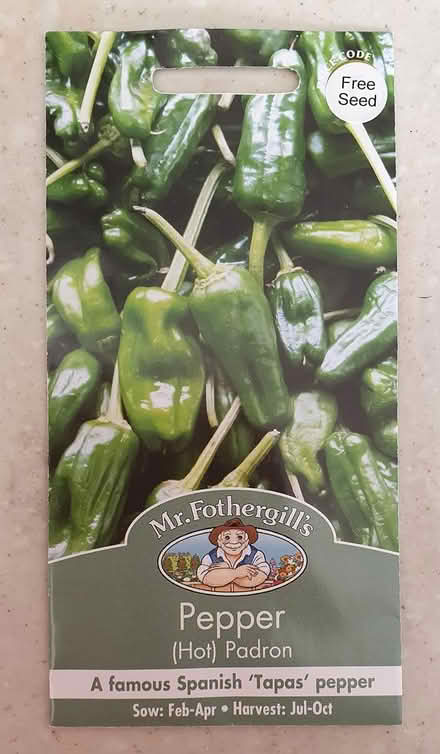 Photo of free Padron Pepper Seeds (Ashtead) #1