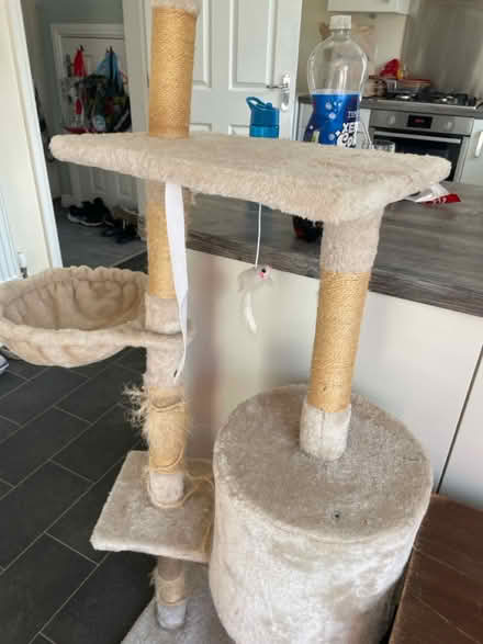 Photo of free Cat Tower (loughborough) #1