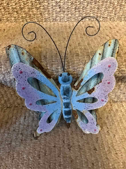 Photo of free Outdoor garden butterfly (L5L 5P5) #1