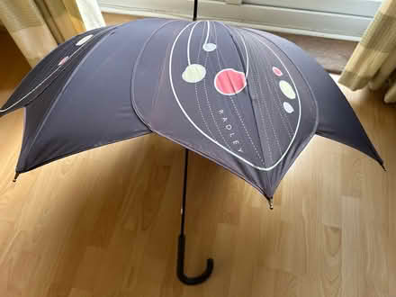 Photo of free Radley umbrella (Barkham RG41) #1