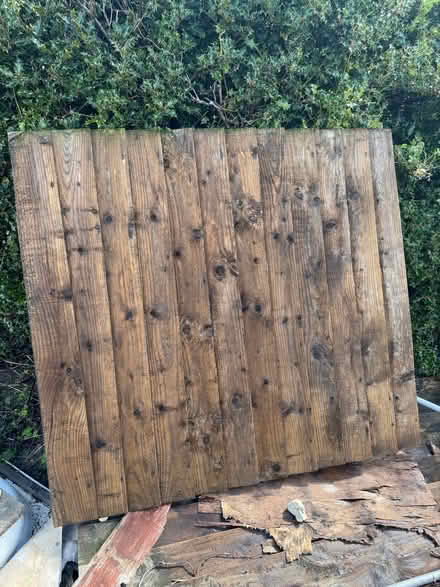 Photo of free Garden wooden gate with hinges 49” wide x 44.5” high (Spondon DE21) #1