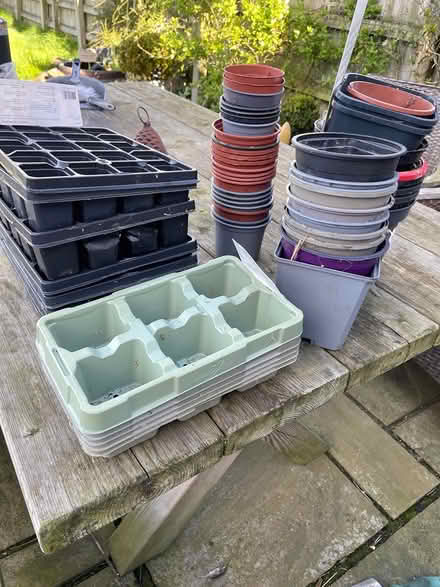 Photo of free Seed trays and planting pots (Wettenhall) #1