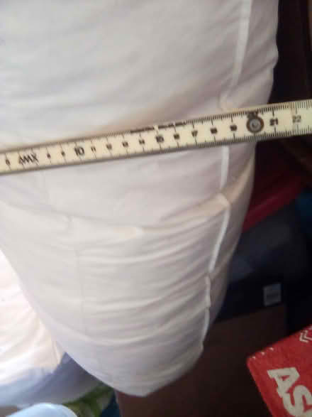 Photo of free 2 HUGE, very thick, very heavy feather-filled cushions. (Cliftonville CT9) #3