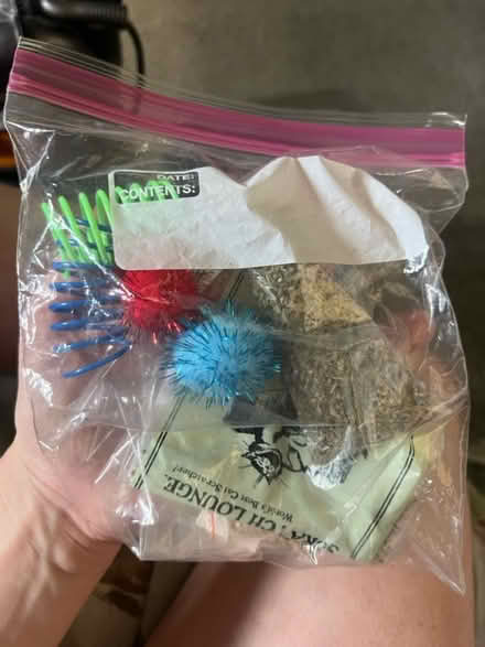 Photo of free cat stuff (east hollywood) #3