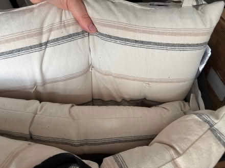 Photo of free 4 dining seat cushions from m&s (Chatham) #2