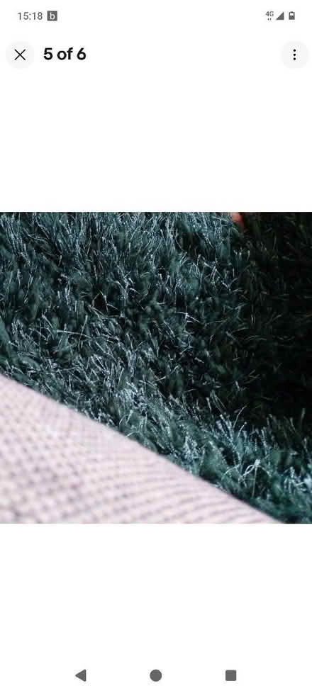 Photo of free Big green rug (Sheldon B26) #4