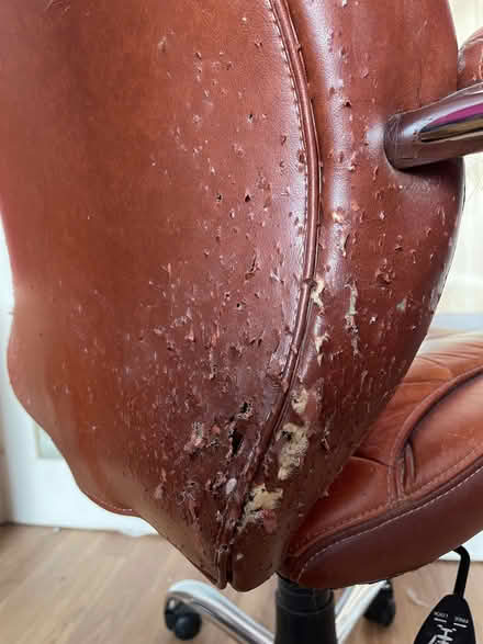 Photo of free Brown faux leather office chair (see description) (Chorley PR6) #3