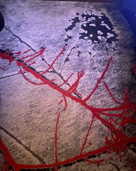 Photo of free Large Rug- Wayfair (Sherbourne and bloor) #3