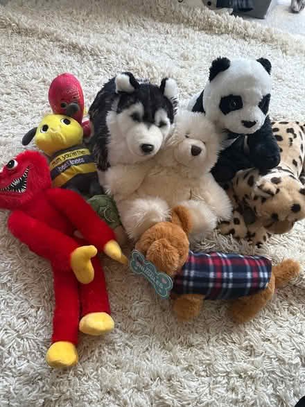 Photo of free Teddy bundle (Carshalton) #1