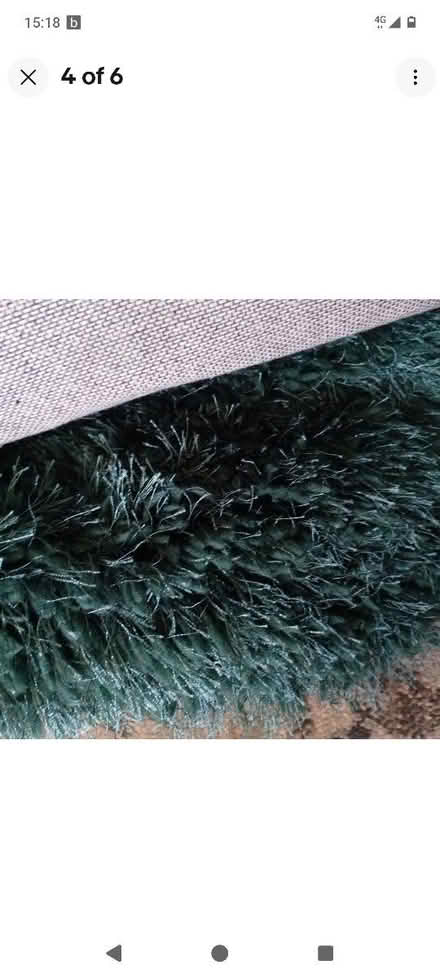 Photo of free Big green rug (Sheldon B26) #3