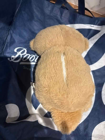 Photo of free Bedtime buddy (Chatham) #2