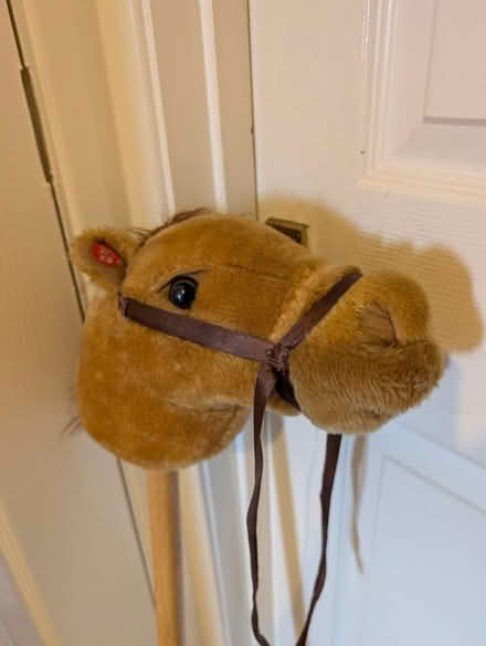 Photo of free Hobby Horse (Colchester CO4 Parsons Heath) #1