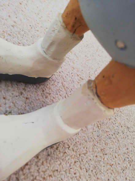 Photo of free Ornamental Duck (BS30) #2