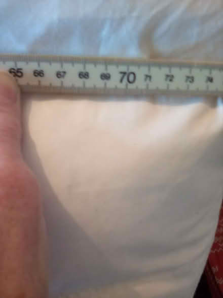 Photo of free 2 HUGE, very thick, very heavy feather-filled cushions. (Cliftonville CT9) #2