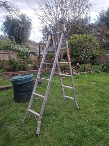 Photo of free Steps/Ladder (Coldean BN1) #1