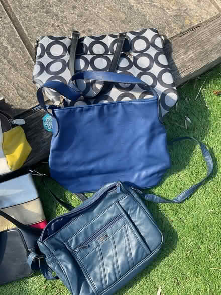 Photo of free Hand/Shopper Bags (RG30 Tilehurst) #3