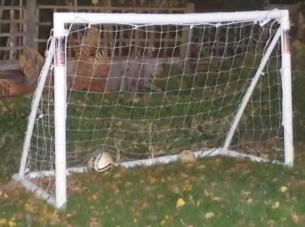 Photo of free Football goal (Bridgnorth WV16) #1