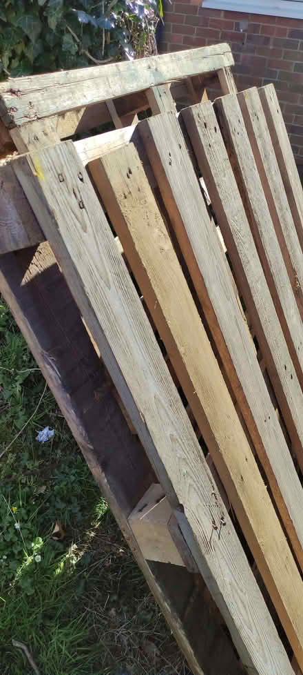 Photo of free Lots of wooden pallets (Willingdon BN26) #2