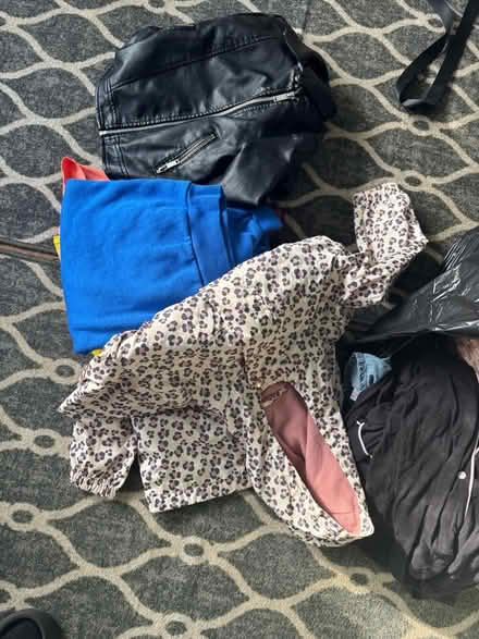 Photo of free Clothes (Fox Hollies B28) #3