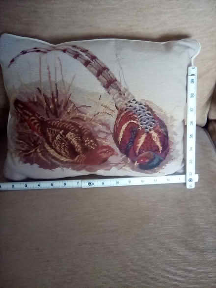 Photo of free Small cushion/'pillow'. (Cliftonville CT9) #1