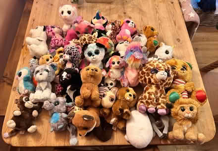 Photo of free Beanie Boo Collection (Haslemere GU27) #1