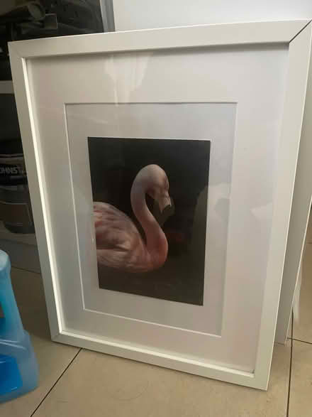 Photo of free IKEA frame (Littlemore OX4) #1