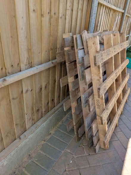 Photo of free 3 free pallets (Church of the Cross SE2) #2