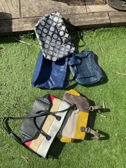 Photo of free Hand/Shopper Bags (RG30 Tilehurst) #1