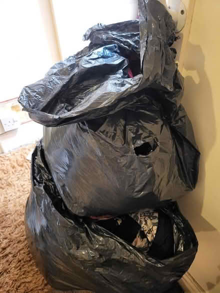 Photo of free 2 black bags of ladies clothes from a clean environment. Siz (Daimler Green CV6) #1