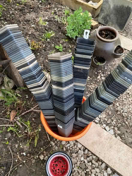 Photo of free 9cm Plant Pots (Millfields CW5) #1