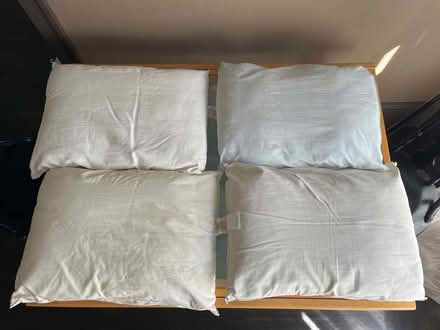 Photo of free Four bed pillows (North Berkeley) #1