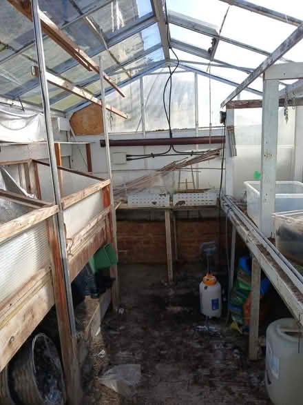 Photo of free Greenhouse 3FT by 6Ft (Cople) #4