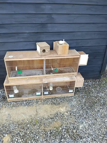 Photo of free Bird cages (Rosslare Strand) #1