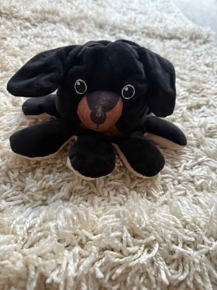 Photo of free Reversible octopus dog teddy (Carshalton) #2